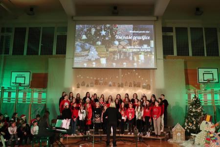 Božično-novoletni koncert Osnovne šole Toma Brejca  (45)